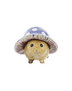 DCUK - Hedgies Hedgehogs